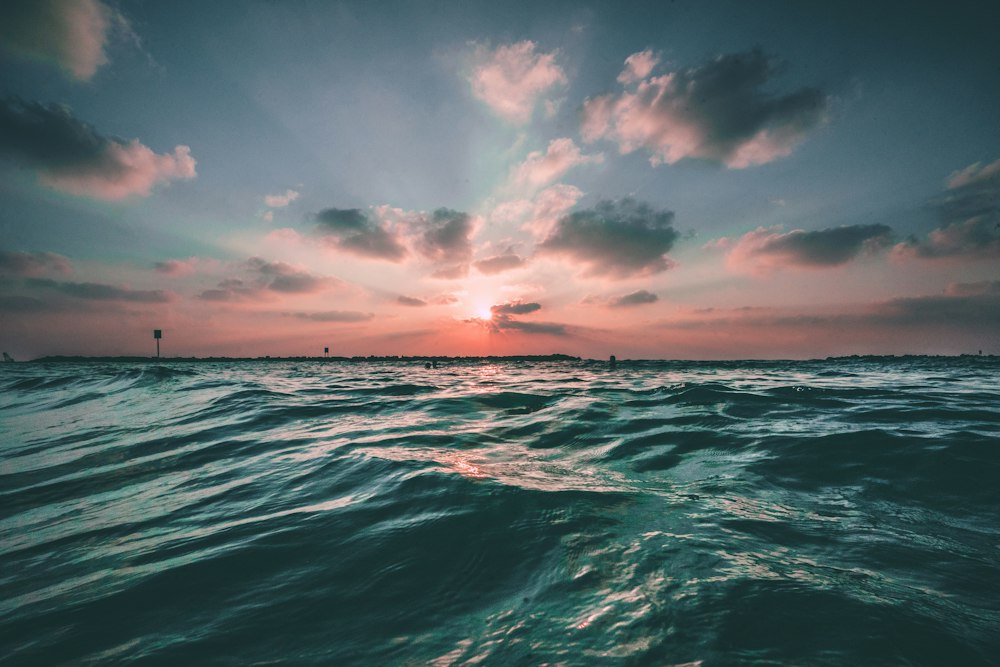 Ocean wave eco